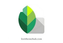 Snapseed: Quick Guide to Remove Background from Images Easily