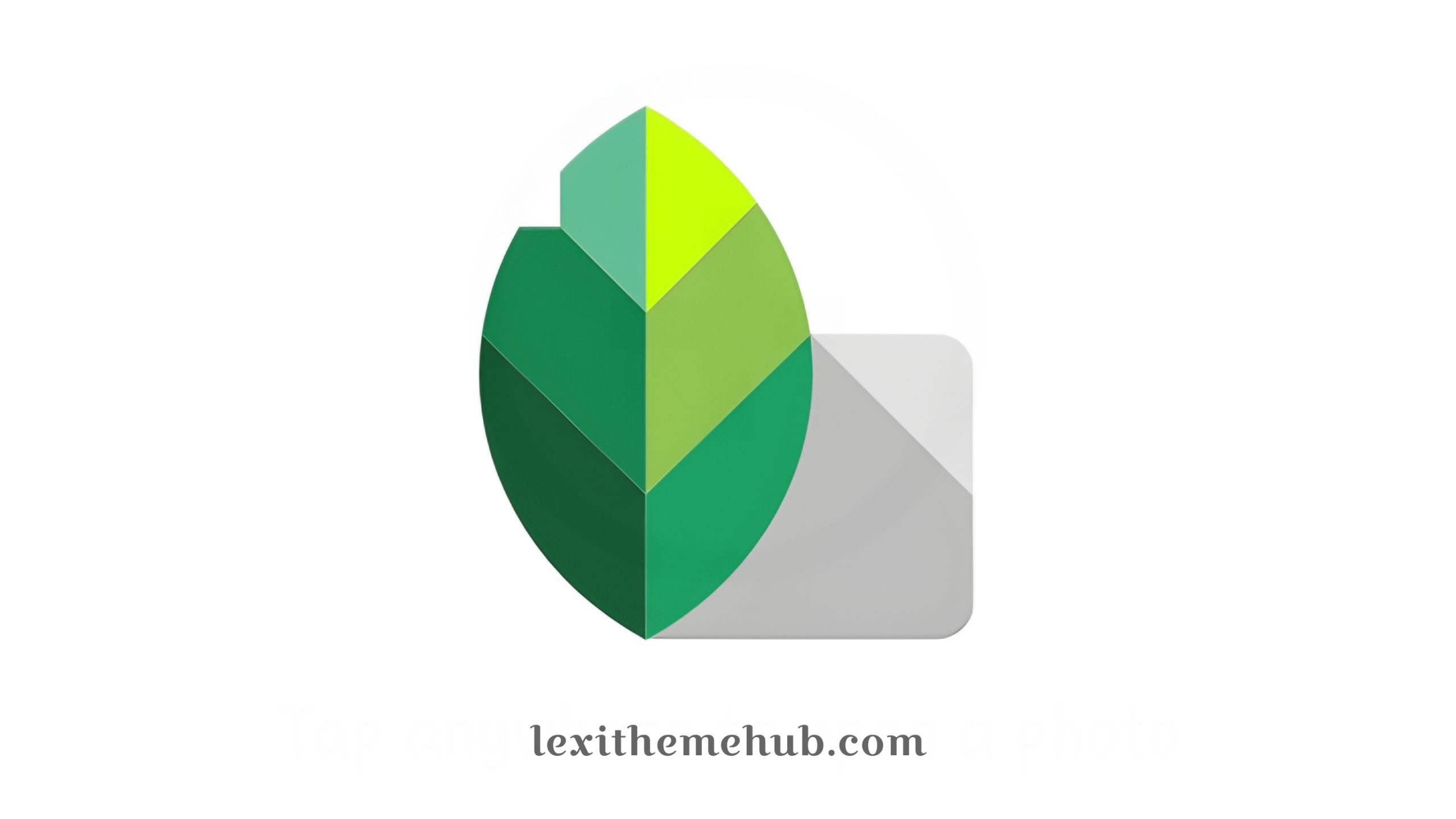 Snapseed: Quick Guide to Remove Background from Images Easily